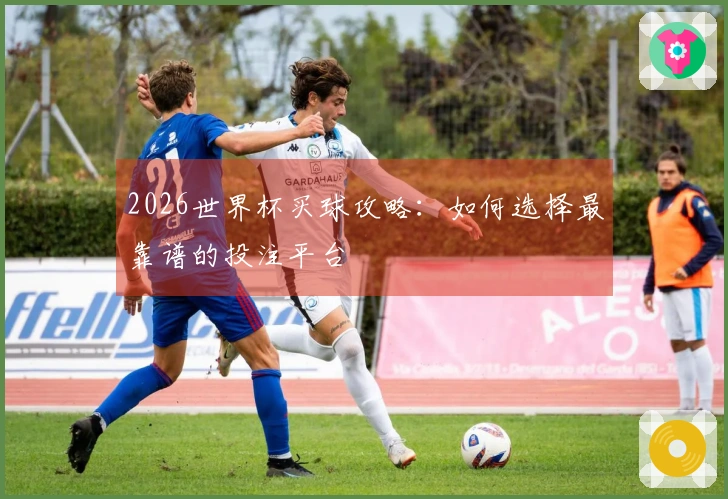 2026世界杯买球攻略：如何选择最靠谱的投注平台