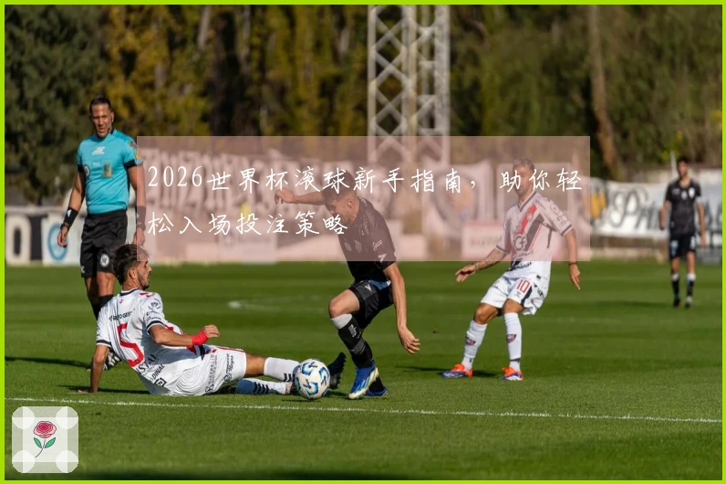 2026世界杯滚球新手指南，助你轻松入场投注策略