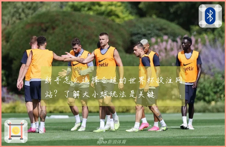 新手怎么选择合适的世界杯投注网站？了解大小球玩法是关键