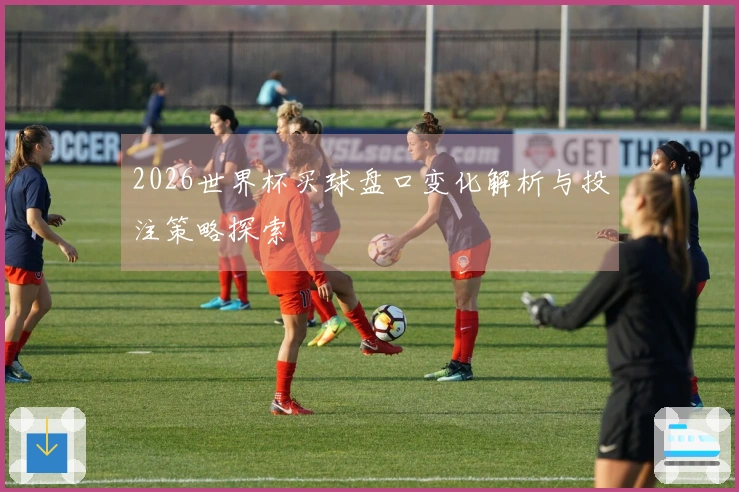 2026世界杯买球盘口变化解析与投注策略探索