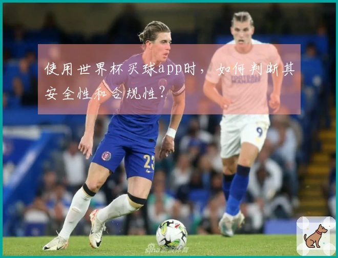 使用世界杯买球app时，如何判断其安全性和合规性？