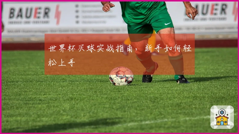世界杯买球实战指南，新手如何轻松上手