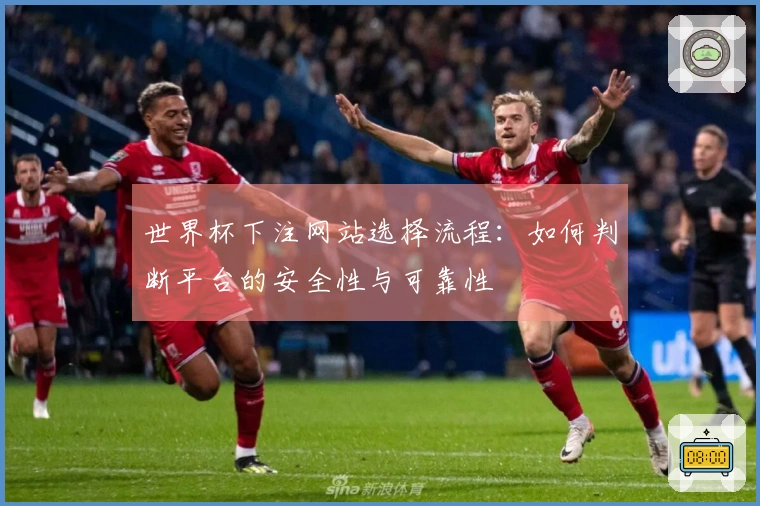 世界杯下注网站选择流程：如何判断平台的安全性与可靠性