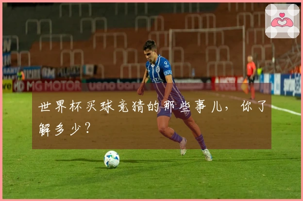 世界杯买球竞猜的那些事儿，你了解多少？
