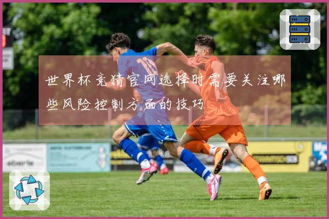 世界杯竞猜官网选择时需要关注哪些风险控制方面的技巧