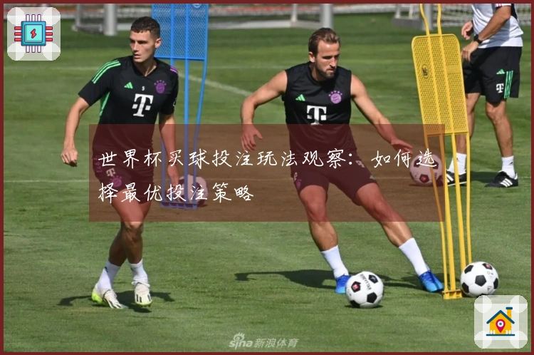 世界杯买球投注玩法观察：如何选择最优投注策略
