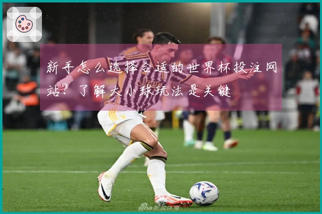 新手怎么选择合适的世界杯投注网站？了解大小球玩法是关键