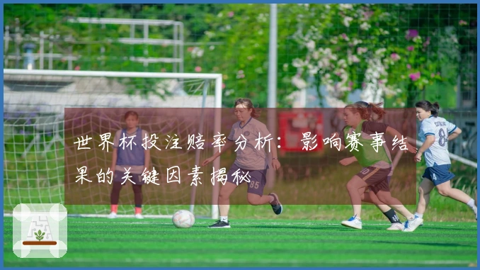 世界杯投注赔率分析:影响赛事结果的关键因素揭秘