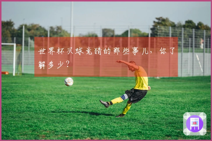 世界杯买球竞猜的那些事儿，你了解多少？