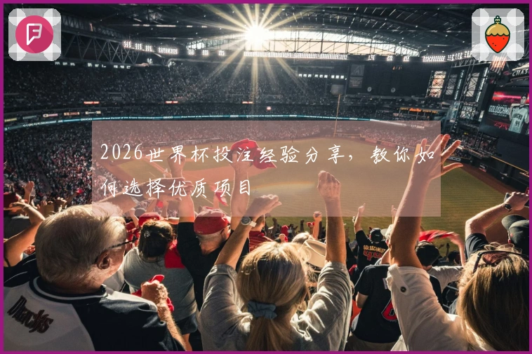 2026世界杯投注经验分享，教你如何选择优质项目