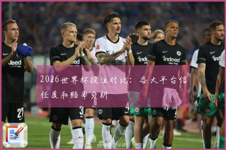 2026世界杯投注对比：各大平台信任度和赔率分析