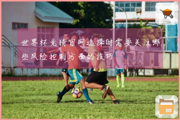 世界杯竞猜官网选择时需要关注哪些风险控制方面的技巧