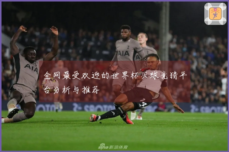 全网最受欢迎的世界杯买球竞猜平台分析与推荐