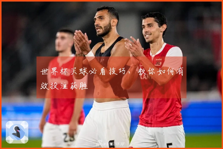 世界杯买球必看技巧，教你如何有效投注获胜